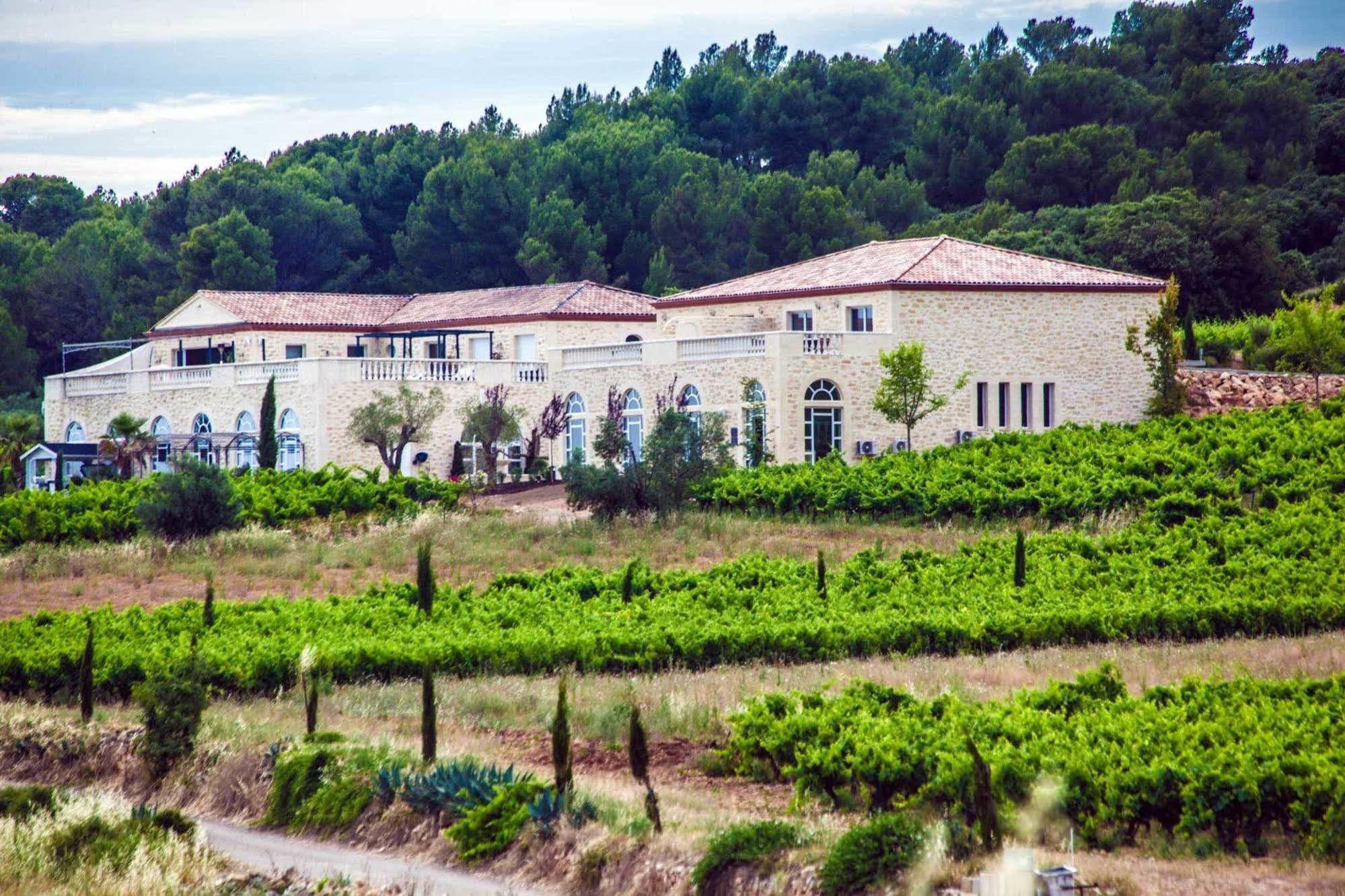 Chateau De Valloubiere Saint-Jean-de-Fos Exterior foto